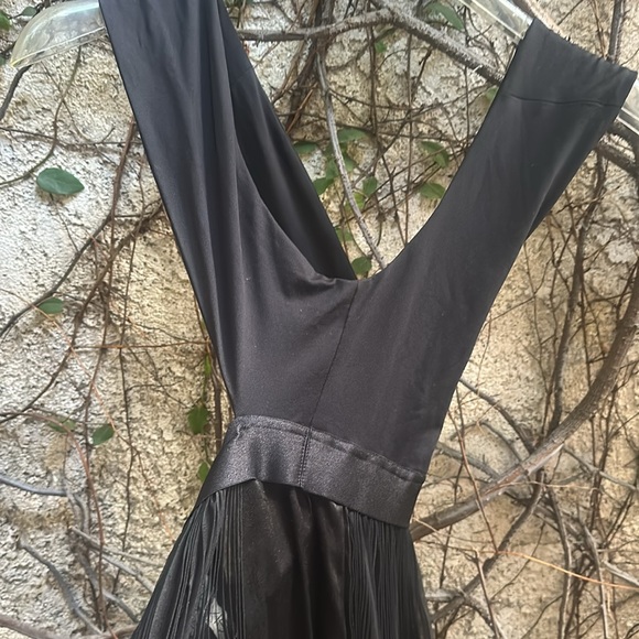 ALEXIS Federico Long Pleaded Organza Silk Dress - Picture 5 of 16